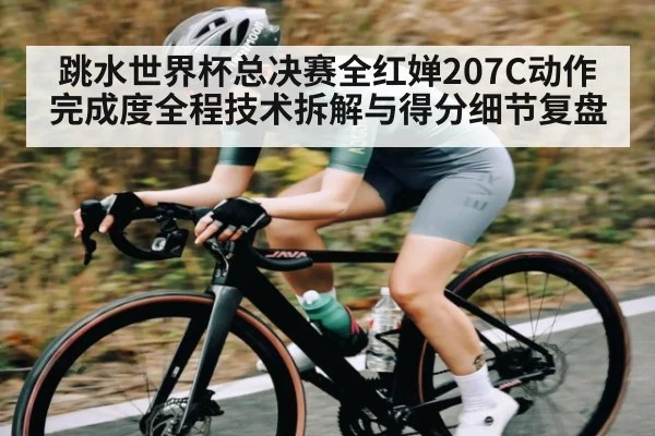 跳水世界杯总决赛全红婵207C动作完成度全程技术拆解与得分细节复盘